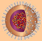 Retour d�but de la page !